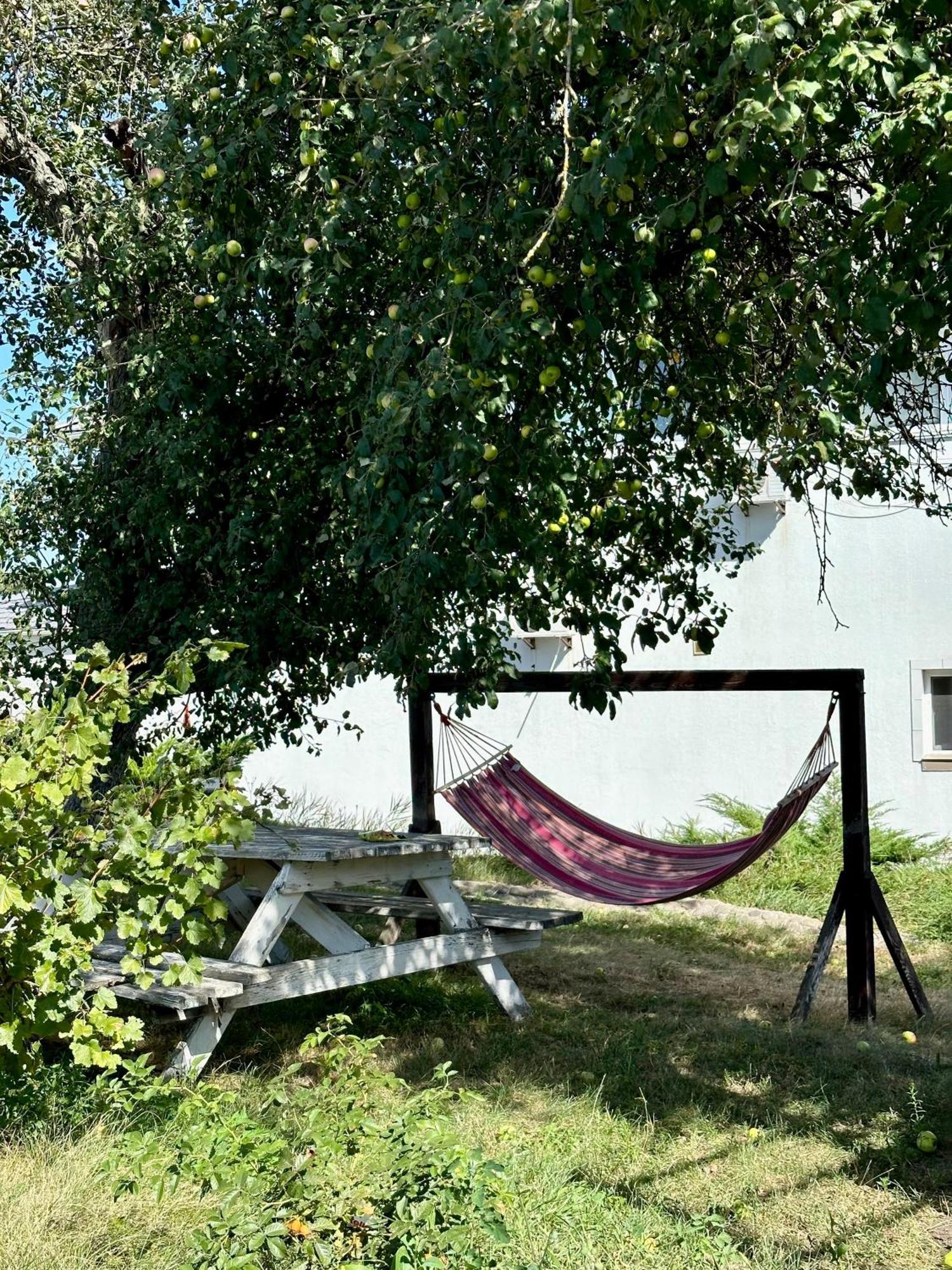 Maison Blanche Ecohousе Mytnitsa Екстериор снимка